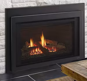 Jasper Series Gas Insert