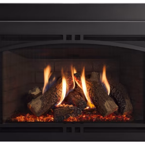 Ruby Platinum Fireplace Insert
