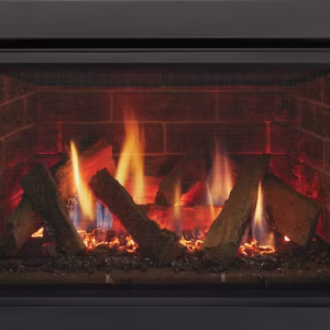 Ruby Series Gas Insert